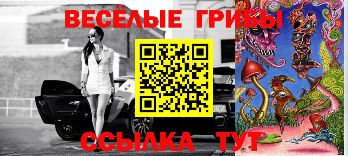 Галлюциногенные грибы ЛСД  Вход с VPN  Новодвинск 