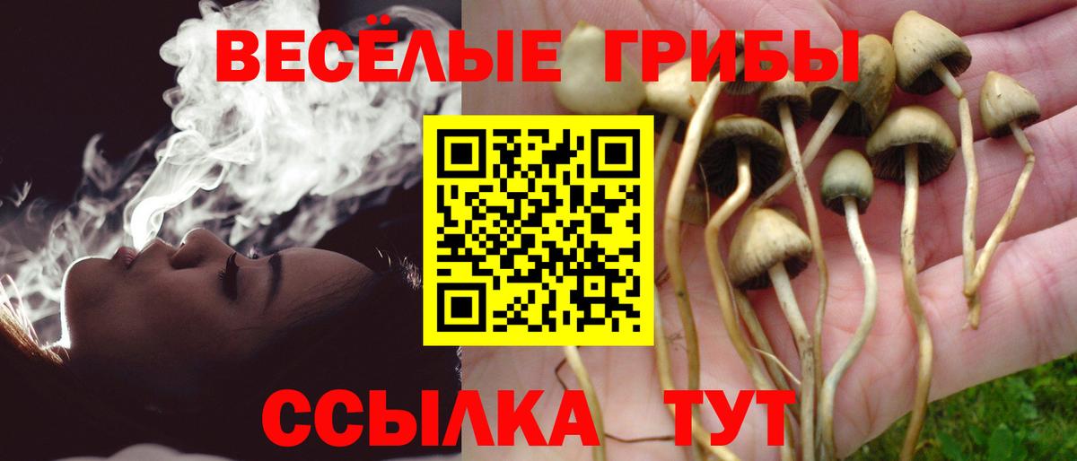 Галлюциногенные грибы ЛСД Новодвинск