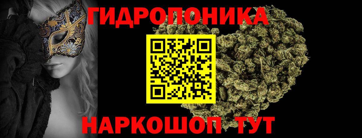 Бошки марихуана OG Kush Новодвинск